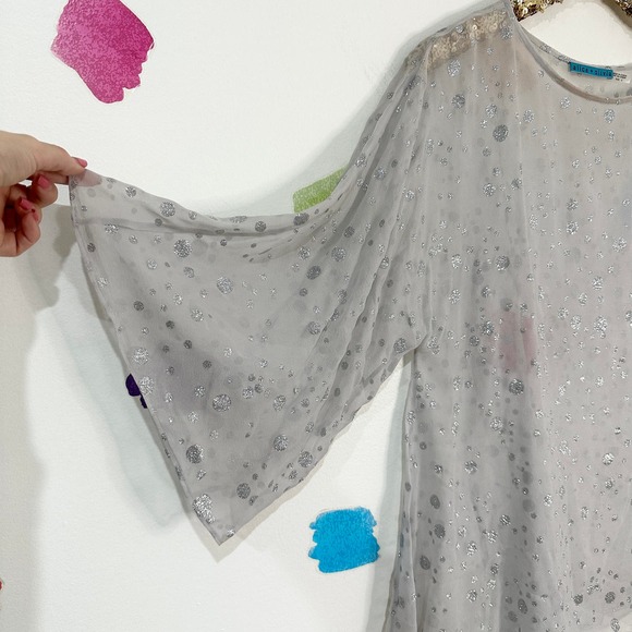 S Alice + Olivia Silver Sheer Polka Dot Silk Blouse - Picture 3 of 6